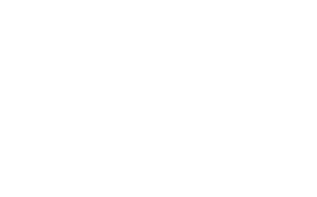 Dockside Brewery logo
